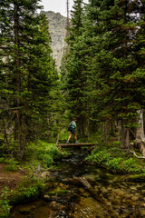 Poster - Woman Hikes Across Small Log Bridge In Rocky Mountain