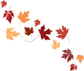 Autumn maple leaves, orange fall leaf, thanksgiving or halloween design elements in orange red and yellow autumn colors, seasonal clip art or png design elements for border or background illustrations