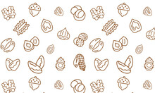 Nut Seamless Pattern With Flat Line Icons. Vector Background Of Dry Nuts And Seeds - Almond, Cashew, Peanut, Walnut, Pistachio. Food Texture For Grocery Shop, Brown White Color 