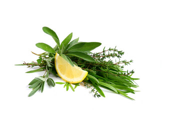 Spicy herbs and a slice of lemon on a white background. Sage, thyme, tarragon.