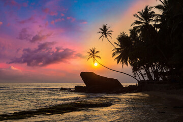 Poster - Dalawella beach in Sri Lanka