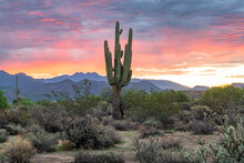 Photograph Of Sunrise In The Tonto National Forest With Four Peaks In The Background. 