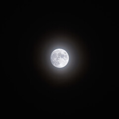 Wall Mural - bright full moon in the night sky
