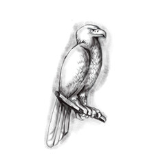 Sticker - Australian Wedge-tailed Eagle Perch Tattoo