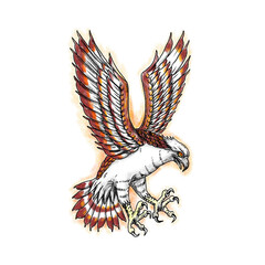 Sticker - Osprey Swooping Front Tattoo