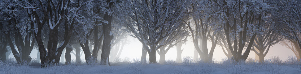 Snow covered Trees create Serene Winter Woodland Banner. Seasonal Concept.