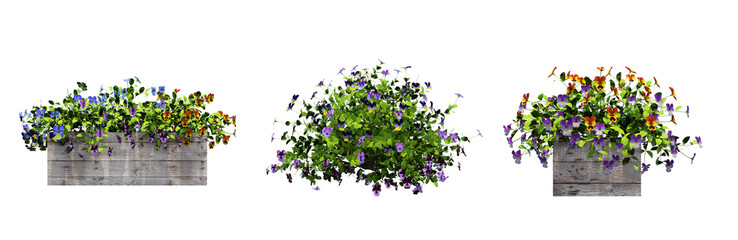 Wall Mural - decorative flower in a pot isolate on a transparent background, 3D illustration, cg render