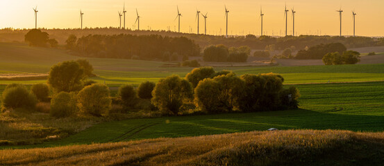 Wall Mural - panorama from green fields and autumn trees