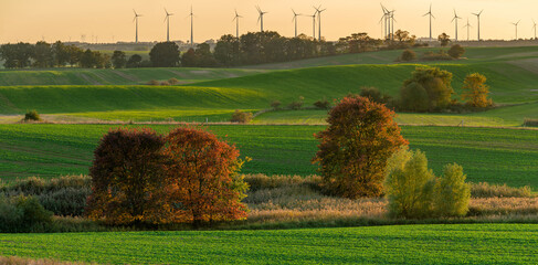 Wall Mural - panorama from green fields and autumn trees