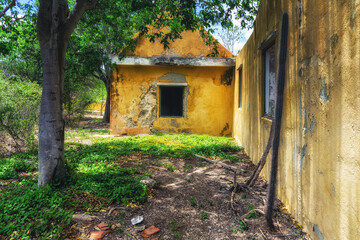  Old derelict house with trees and garden on island Bonaire