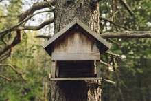 Wooden Birdhouse Hanging On Tree Trunk