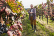 © Westend61 - Happy senior winegrower with arms crossed standing amidst vineyard
