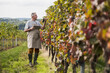© Westend61 - Senior man with tablet PC analyzing grapes in vineyard