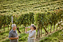 Mature woman drinking wine standing by man in vineyard