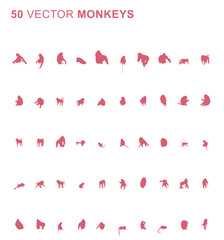 50 Monkeys - Vector