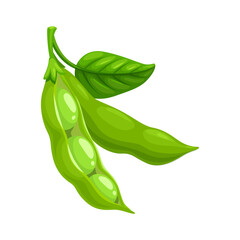 Wall Mural - Isolated ripe soybeans pod with green leaf. Soya raw seed, vegan food protein ingredient, cartoon vector ripe legume bean. Diet natural nutrition