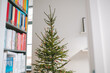 Real Christmas tree with decorations in white interior