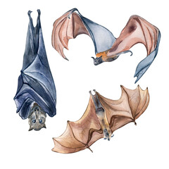 Set of brown and black bats watercolor illustration isolated on white background.