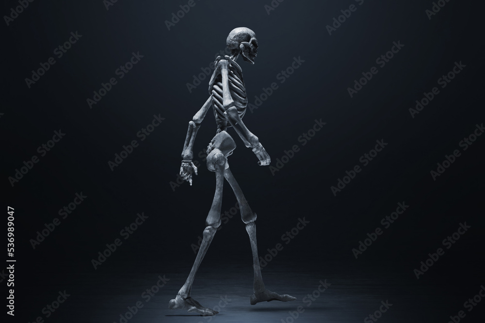 Human skeleton on dark background Stock Photo | Adobe Stock