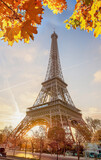 Fototapeta  - Eiffel Tower with autumn leaves against colorful sunset in Paris, France