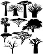 Various African trees and bushes on transparent background