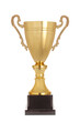 Winner's gold trophy cup