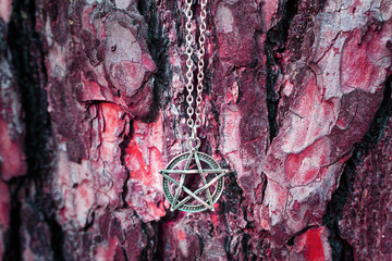 Wall Mural - Pentagram necklace against a red tree bark