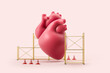 Human heart with scaffolding. The idea of health examination and treatment. 3d rendering