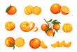 © Victoria Sergeeva - Mandarin set vector illustration. Cartoon isolated whole sweet citrus fruit, orange twist peel, tropical clementine with blossom and leaves on tree branch, fresh mandarin in slices and cut in half