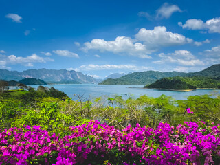 Wall Mural - beautiful lake landscape with flowers and mountain range in background. bright blue sky, tropical is