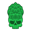hop cone skull. head of skeleton is a beer cone. Vector illustration