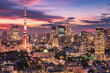 Tokyo Tower and Urban Skyline at dusk