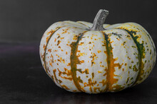 Close Up Of White, Orange And Green Speckled Pumpkin, Black Background And Copy Space