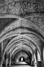 Arches Of Fountains Abbey