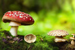 Pilze im Unterholz im Wald Fantasiepilze Illustration 3D