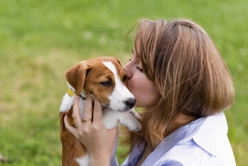 Sticker - Attractive girl hugs and kisses her puppy dog Jack Russell Terrier in the park on the background of green grass