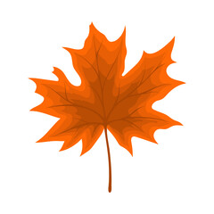 Poster - Maple Autumn Leaf