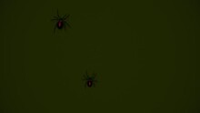 Black widow spiders crawling up wall 3d seamless loop