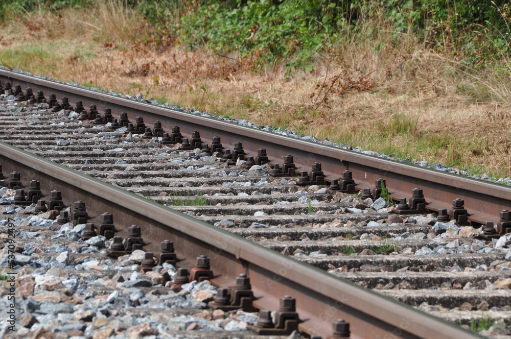 Eisenbahnschienen Mit Triebwagenzug Auf Eingelsiger Strecke Im Sommer eisenbahnschienen-mit-triebwagenzug-auf-eingelsiger-strecke-im-sommer