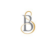 Letter B and S Logo Icon 001