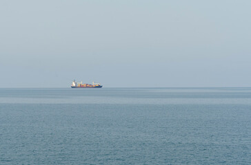 Wall Mural - A view through the trees of a freighter moving across the sea in the distance.