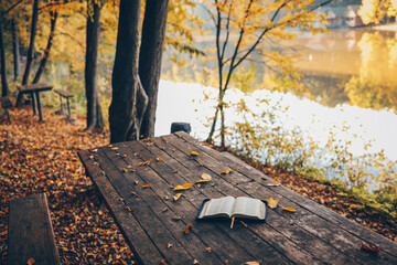 Wall Mural - Open book on wood planks over outdoor natural background