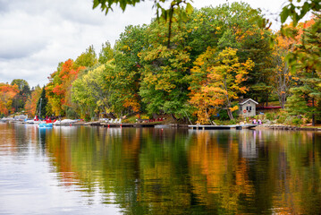 Wall Mural - Adirondack chairs on wooden jetties along the forested bank of a river on a cloudy autumn day. Stunning autumn colours.