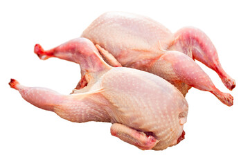 Fresh raw meat quails ready for cooking. Isolated on white background