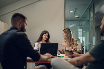 Wall Mural - Group of business people having a meeting in the office