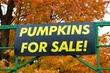 Pumpkins for Sale road sign on Autumn day