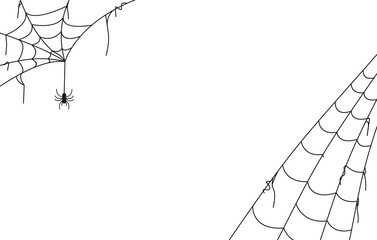 spider and web background for halloween design template