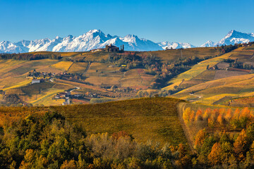 Poster - Autumnal vineyards on the hills and mountain ridge on background in Italy.