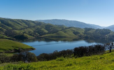 Wall Mural - Scenic of lake in Del Valle Regional Park on a sunny day in California, US