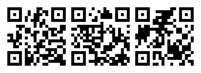 Vector QR code